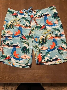 George Light Aqua Board Shorts with Red & Blue Parrot Print